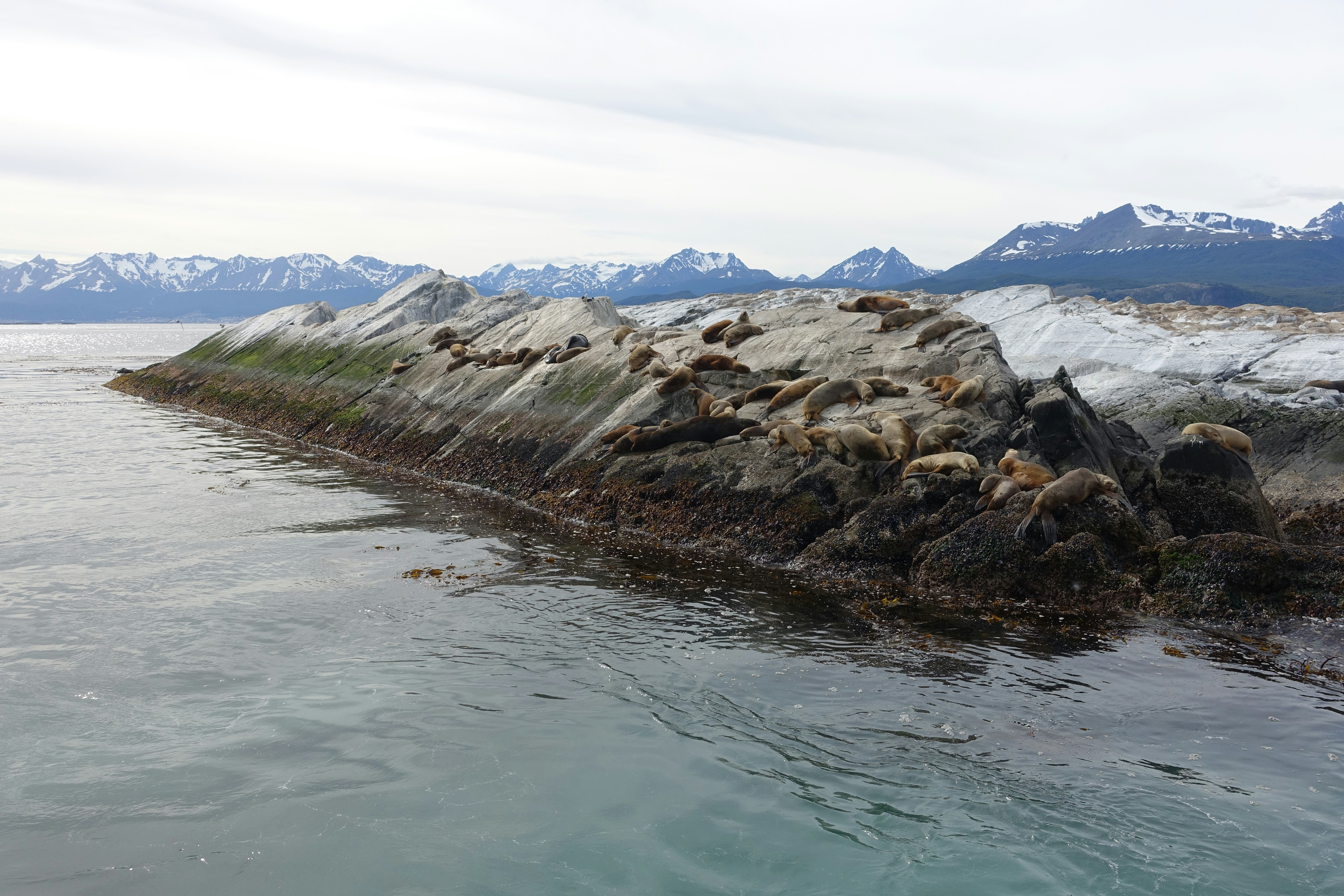 landscape photography of boulder surrounded by body of water